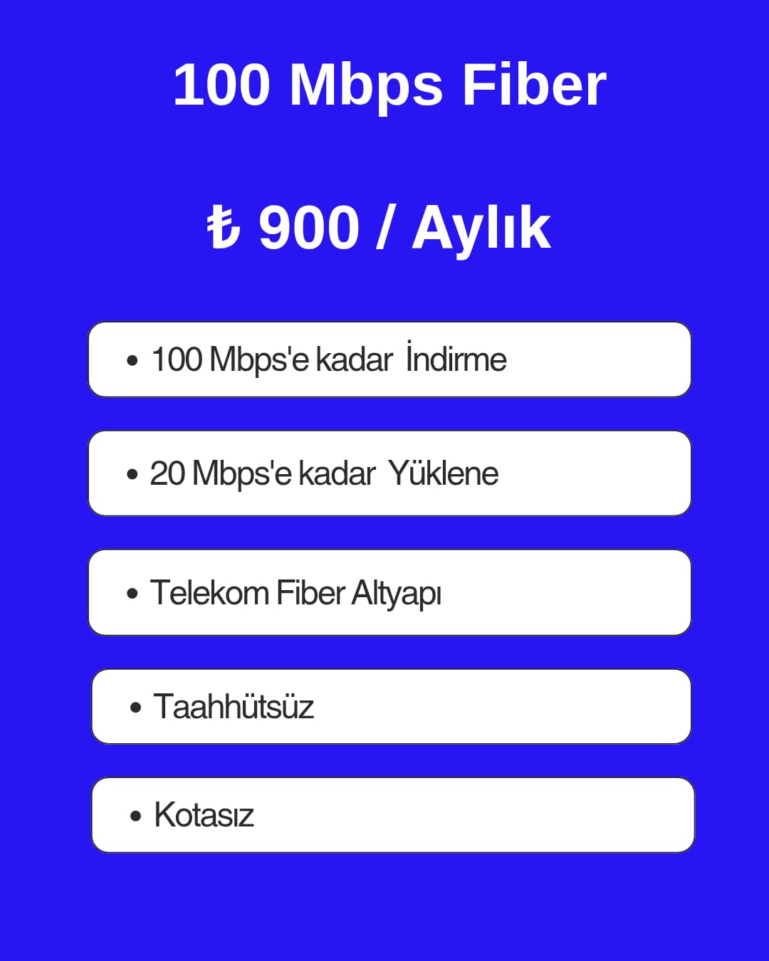 FİBER 100