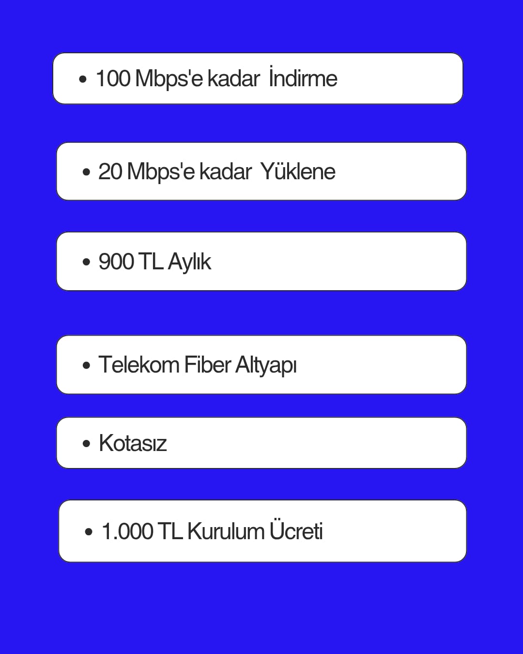 FİBER 100